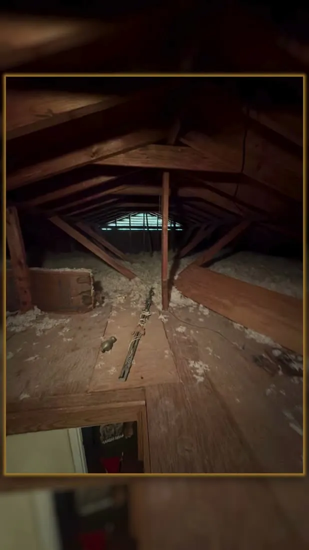 Attic interior, daylight visible through the roof deck and staining on the rafters