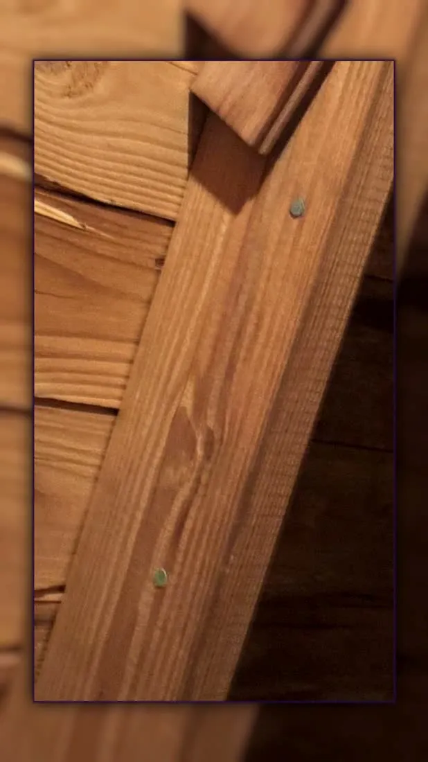 Rafter damage where the water had been sitting
